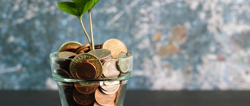 Best Credit Union Bonuses in 2024: Higher Payouts Than Big Banks